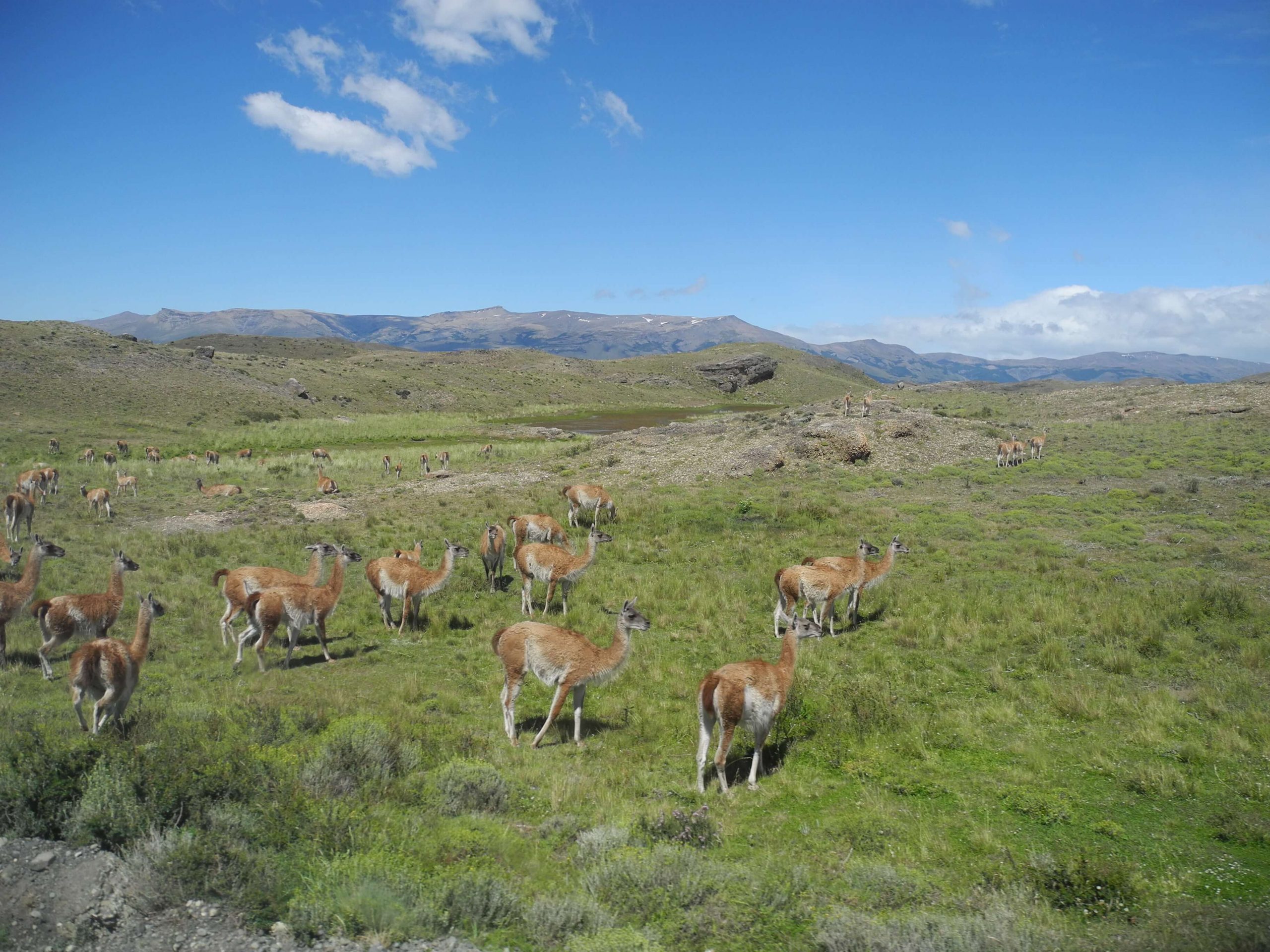 La Patagonie en sac à dos #3 Trek à Torres del Paine